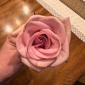 Meet your Posher, Karina